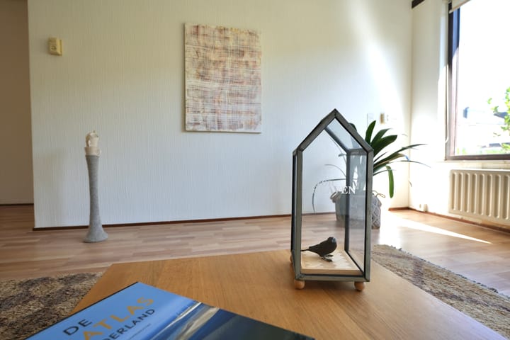 Foto 7 van Balsemkruid 95