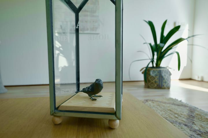 Foto 8 van Balsemkruid 95