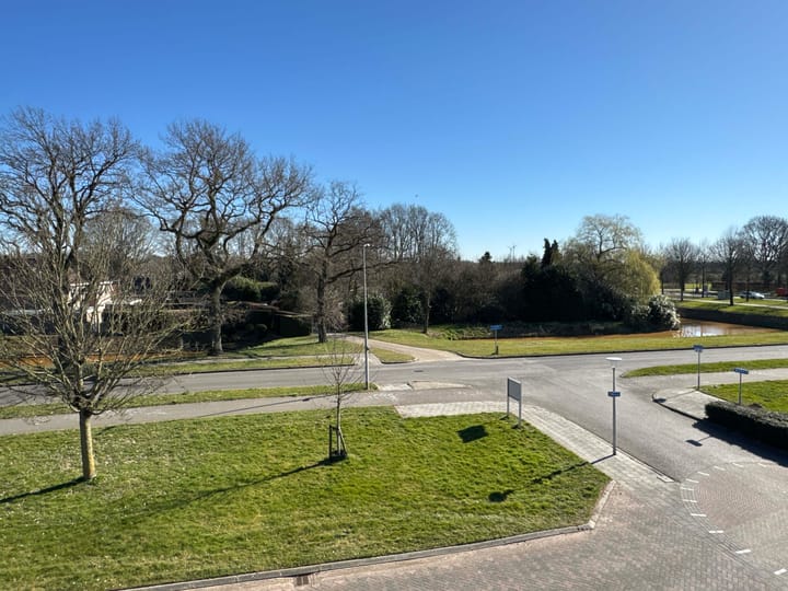 Foto 11 van Berberis 2