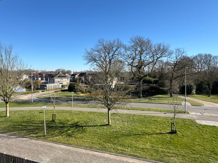 Foto 12 van Berberis 2