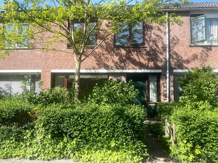 Foto 12 van Balsemkruid 95