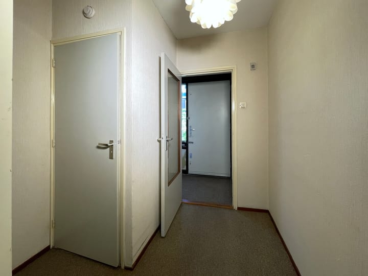 Foto 15 van Balsemkruid 95