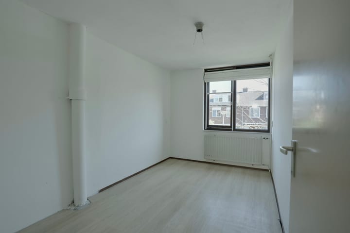 Foto 23 van Balsemkruid 95