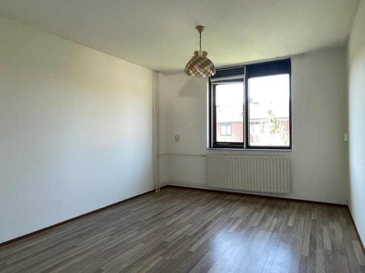 Foto 25 van Balsemkruid 95