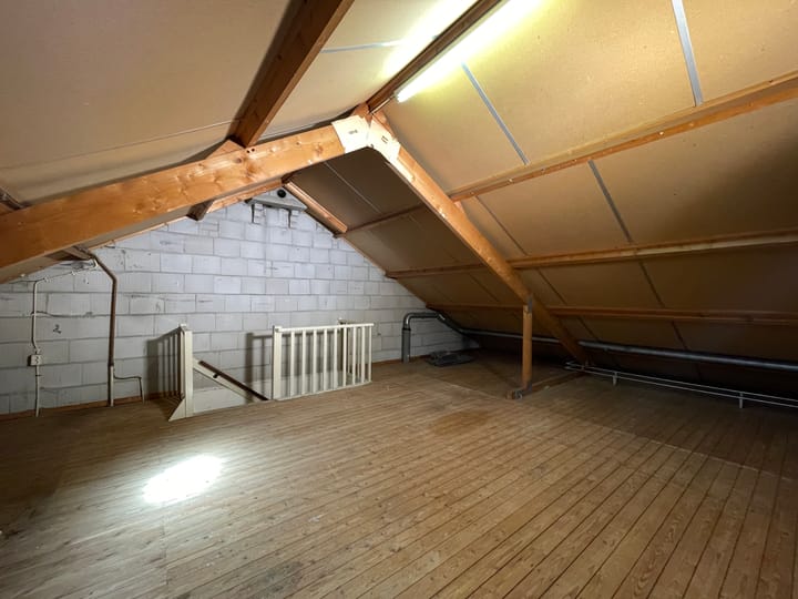 Foto 28 van Balsemkruid 95