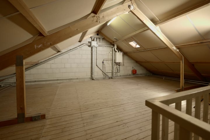 Foto 29 van Balsemkruid 95