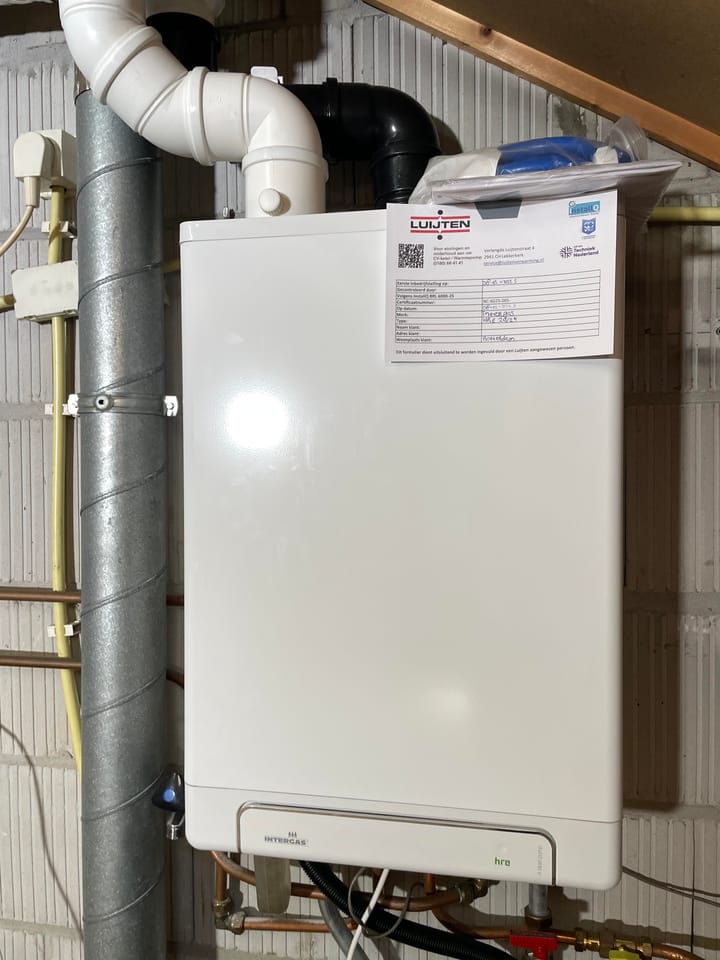 Foto 30 van Balsemkruid 95