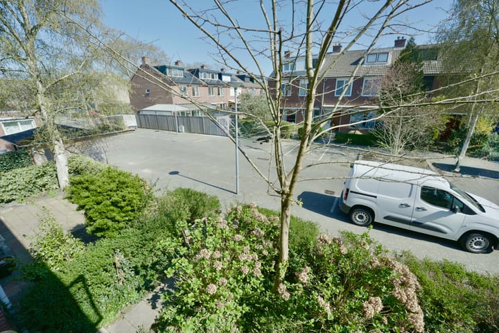 Foto 32 van Balsemkruid 95