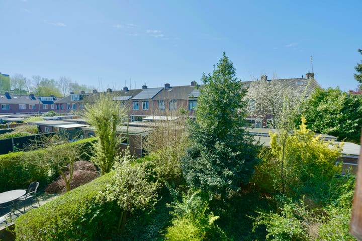 Foto 33 van Balsemkruid 95