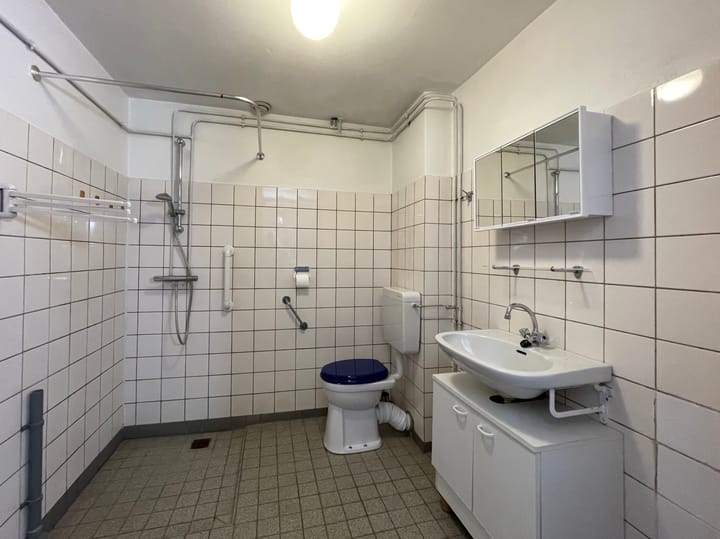 Foto 27 van Balsemkruid 95