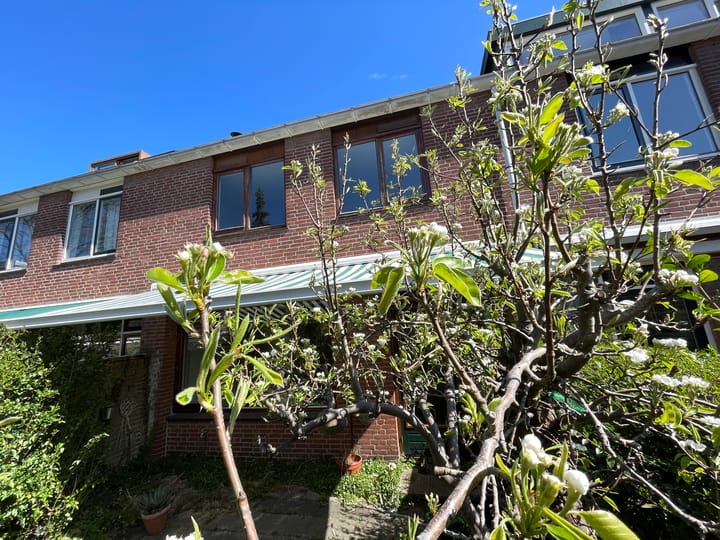 Foto 37 van Balsemkruid 95