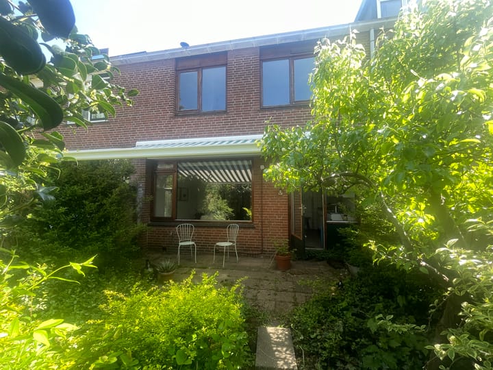 Foto 38 van Balsemkruid 95