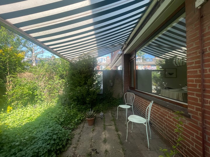 Foto 39 van Balsemkruid 95