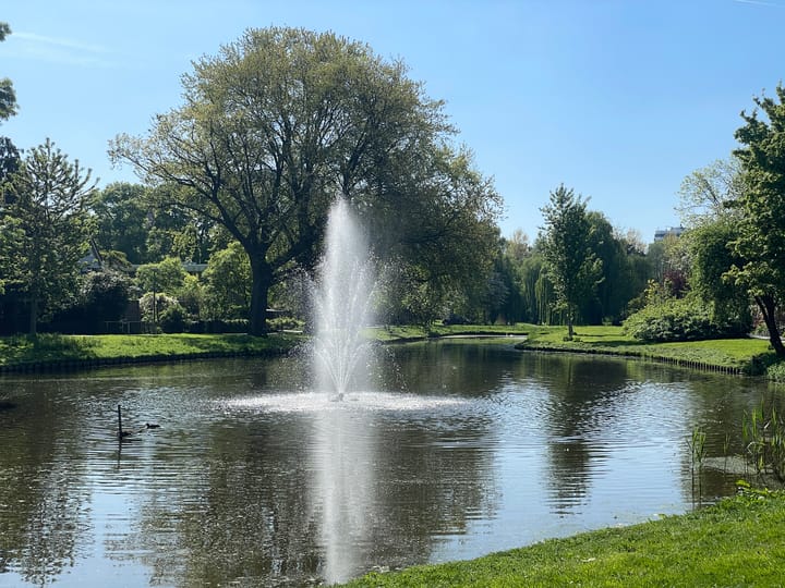 Foto 42 van Balsemkruid 95