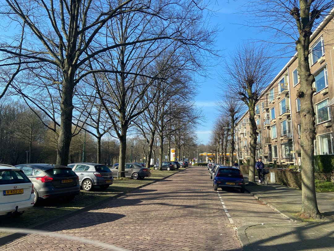 Foto 8 van Burgemeester Elsenlaan 95