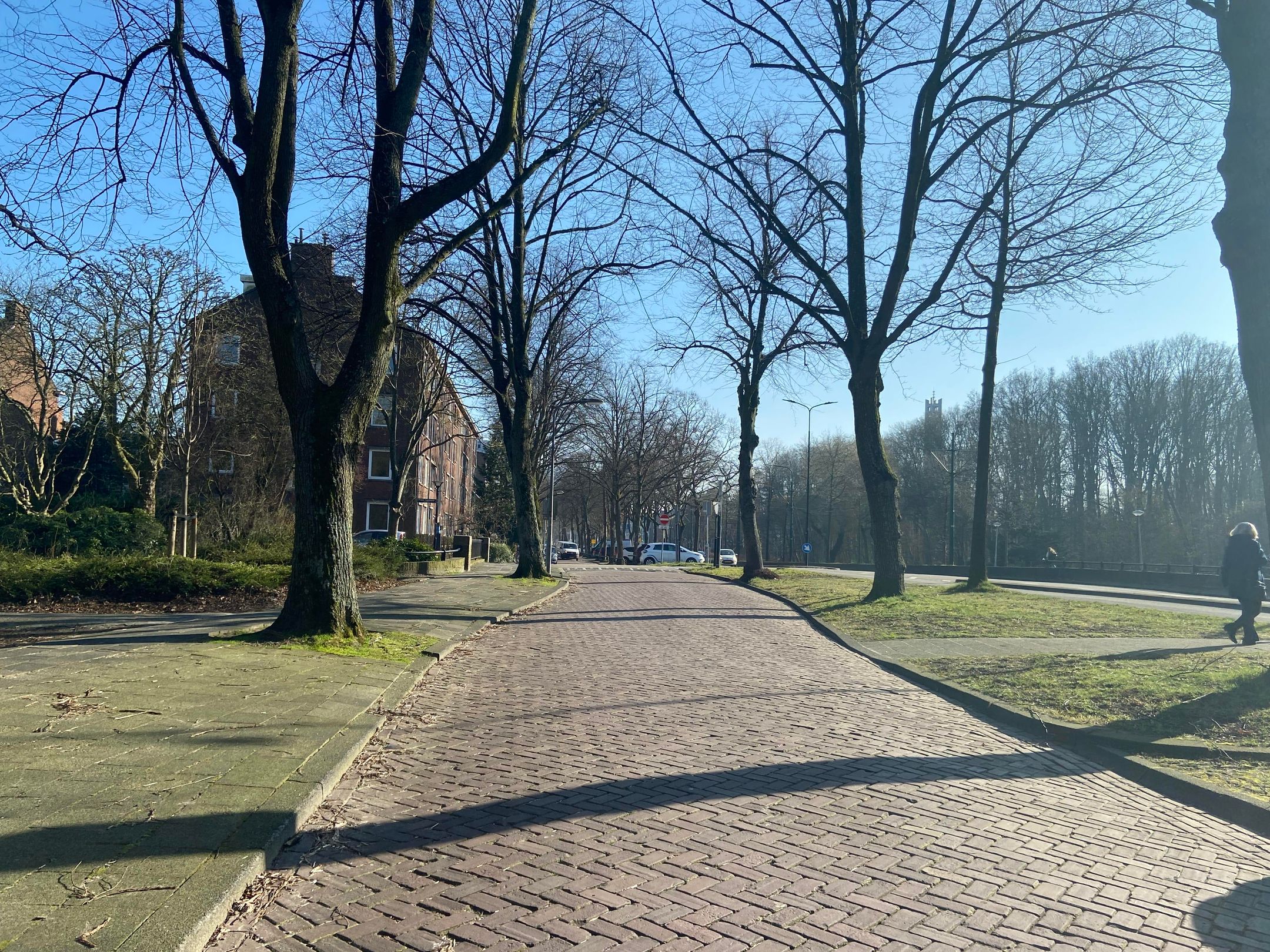 Foto 9 van Burgemeester Elsenlaan 95