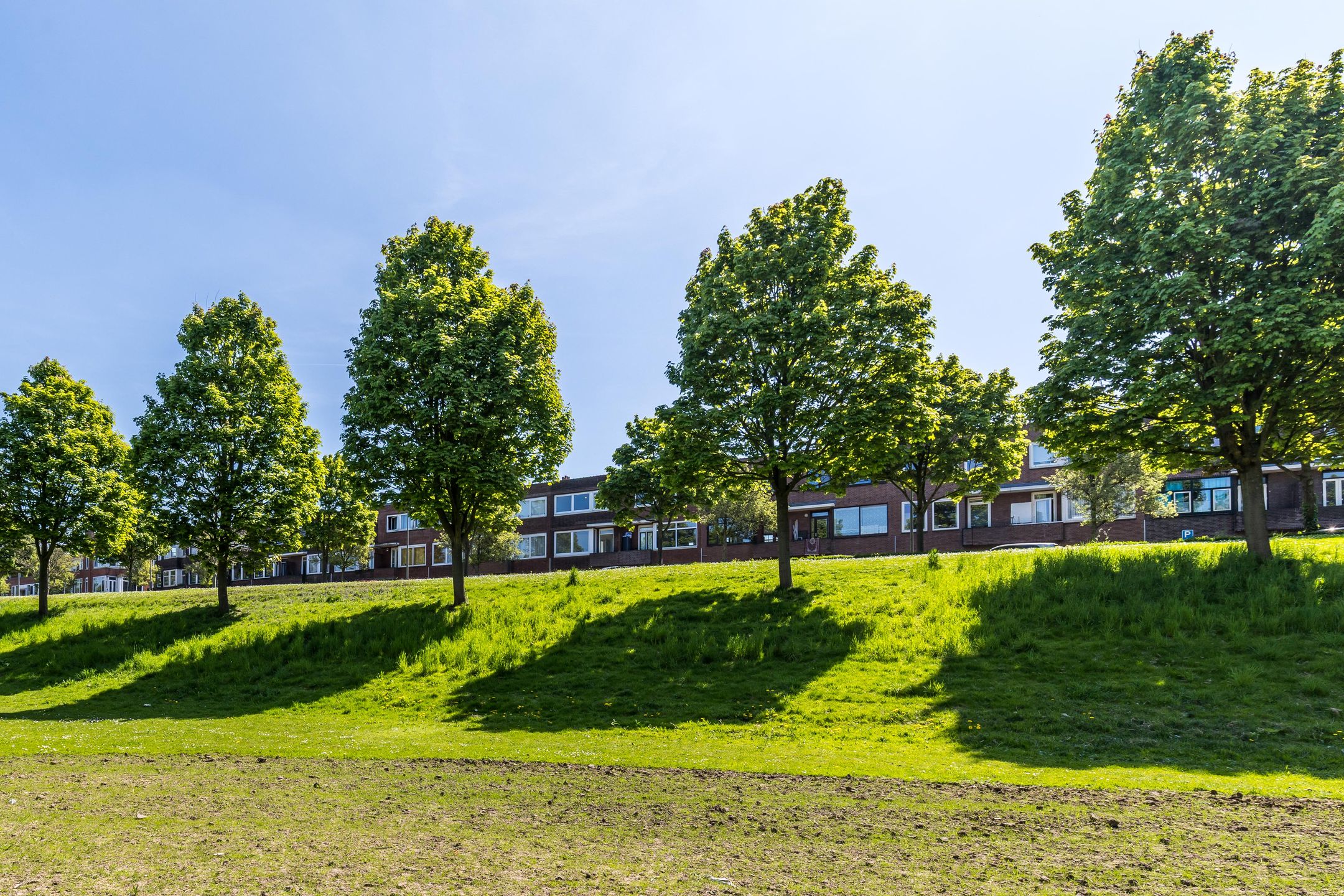 Foto 18 van Vlaardingerdijk 187-B