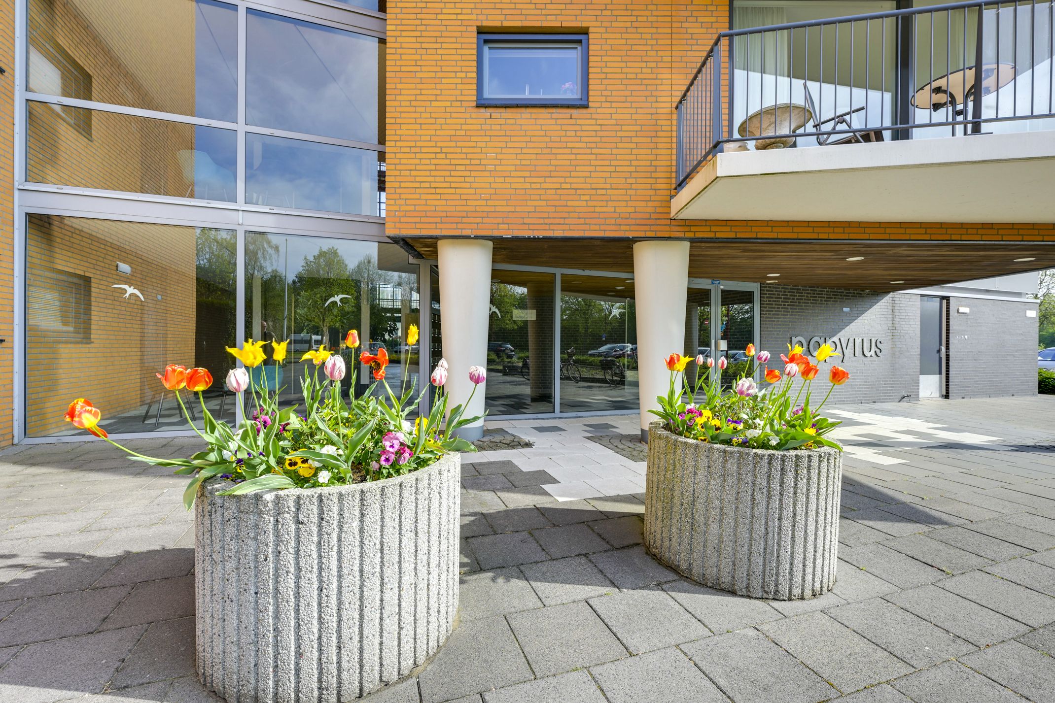 Photo 51 of Rembrandthage 52