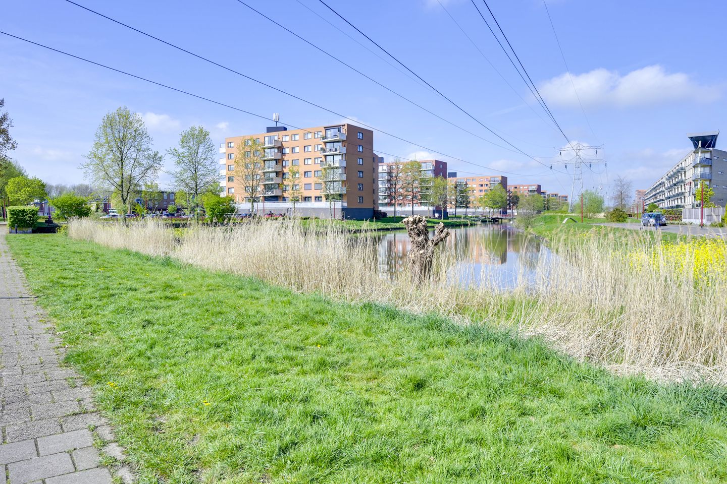 Photo 64 of Rembrandthage 52