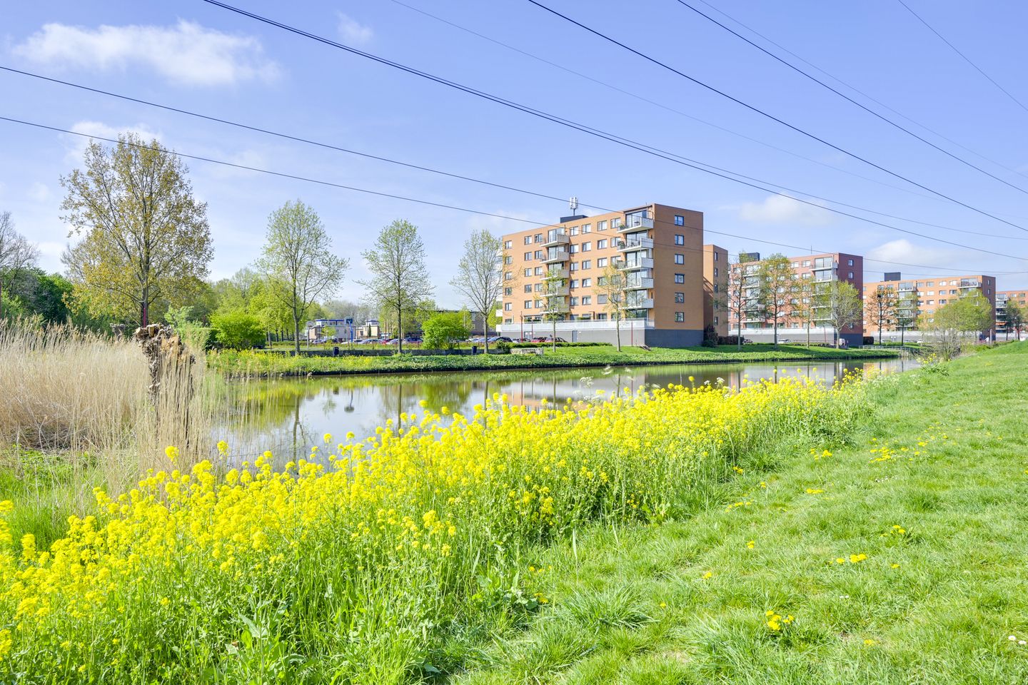 Photo 65 of Rembrandthage 52