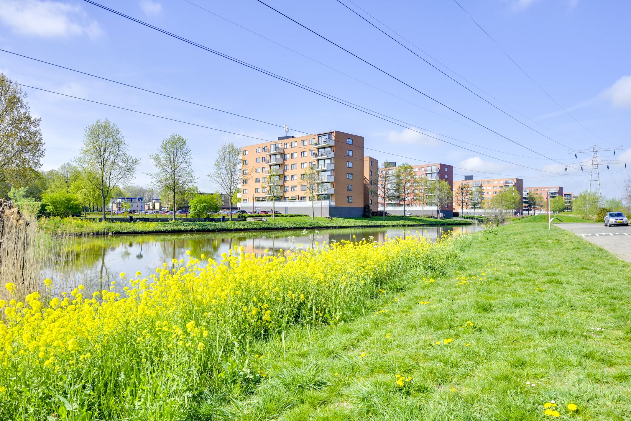 Photo 66 of Rembrandthage 52