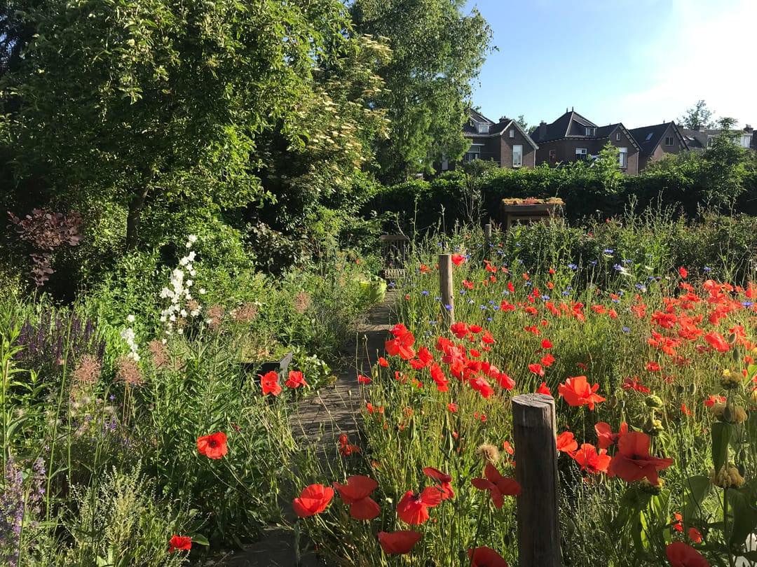 Foto 37 van Rozenhofstraat 7