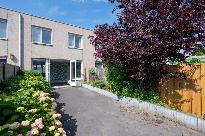 Foto 12 van Struikroospad 8