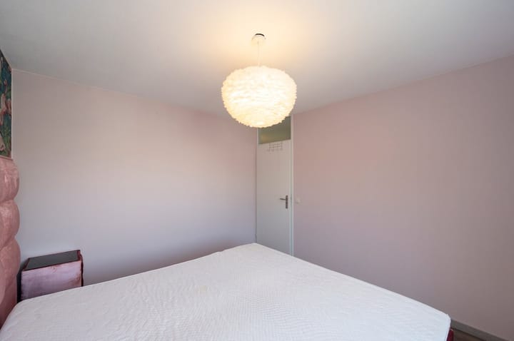 Foto 20 van Struikroospad 8