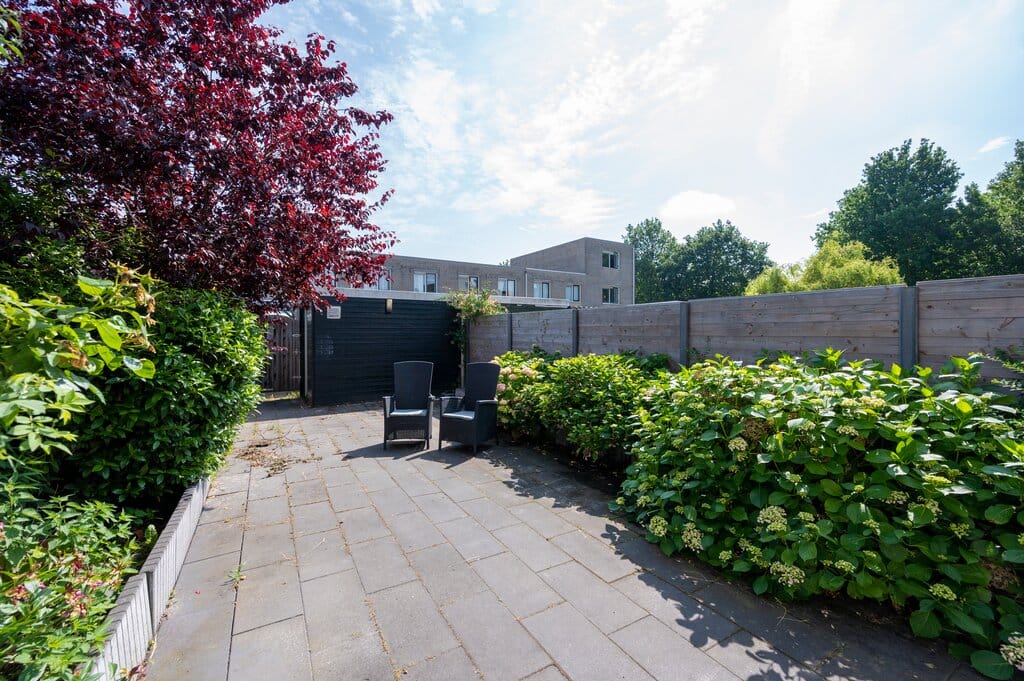 Photo 11 of Struikroospad 8