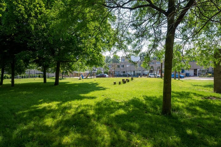 Foto 24 van Struikroospad 8