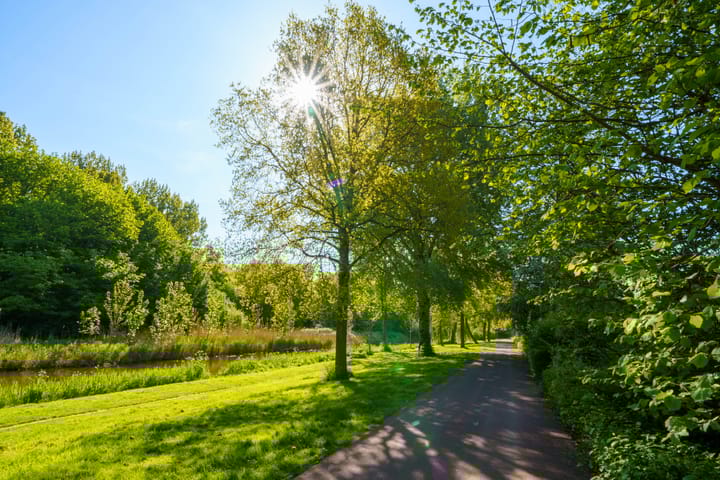 Foto 26 van Stellingmolenstraat 113