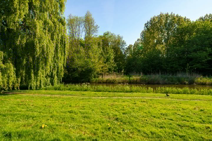 Foto 27 van Stellingmolenstraat 113