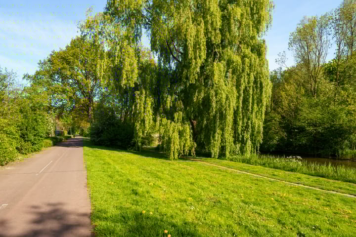 Foto 28 van Stellingmolenstraat 113