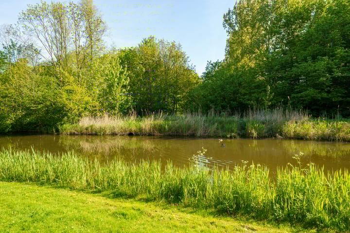 Foto 31 van Stellingmolenstraat 113