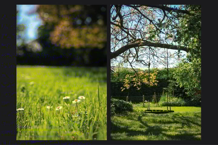 Foto 3 van Burensedijk 29