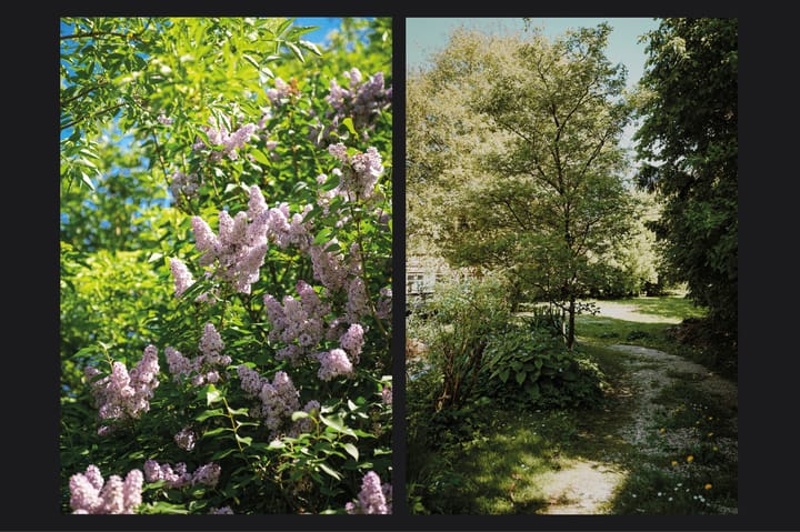 Foto 26 van Burensedijk 29