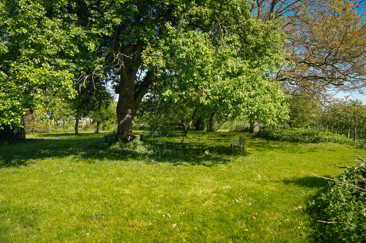 Foto 27 van Burensedijk 29