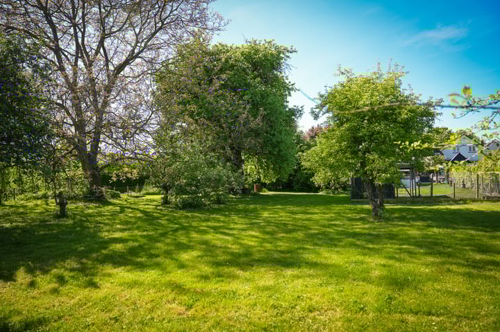 Foto 29 van Burensedijk 29