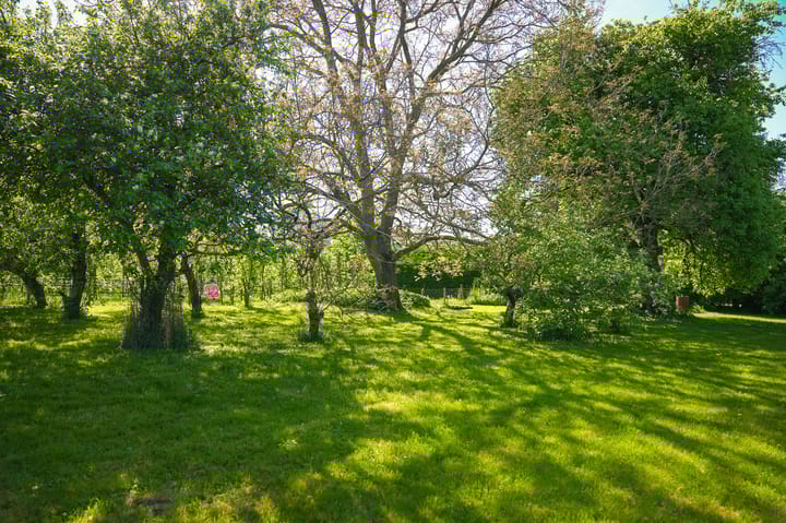 Foto 30 van Burensedijk 29