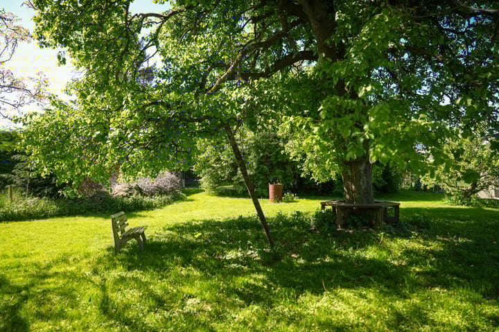 Foto 31 van Burensedijk 29