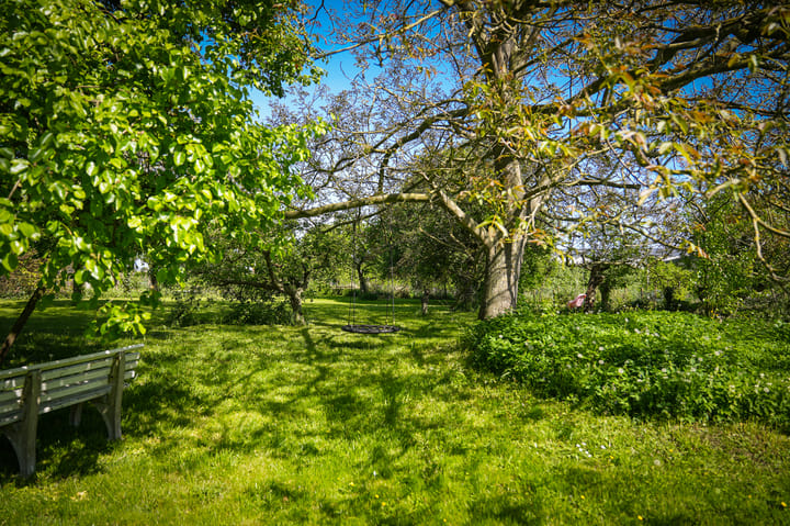 Foto 32 van Burensedijk 29