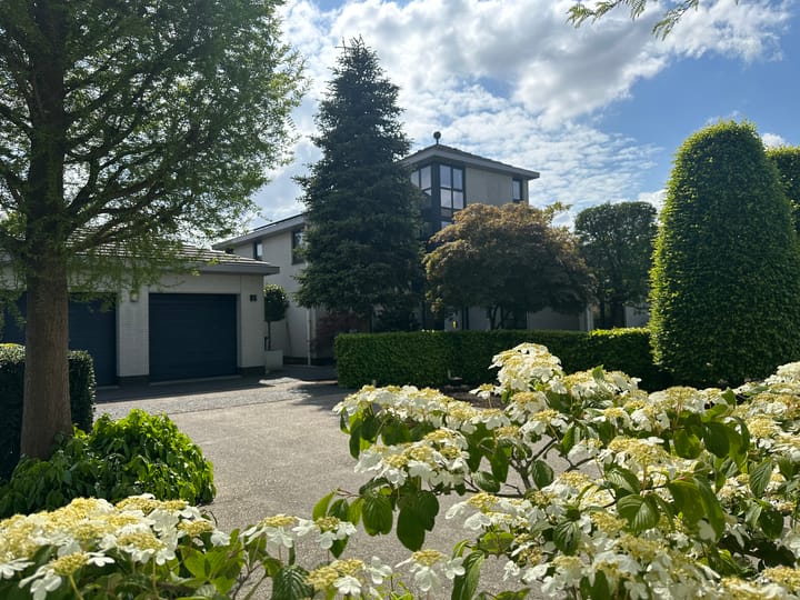 Foto 4 van Halve Raak 85