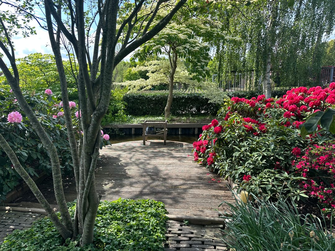 Foto 53 van Halve Raak 85