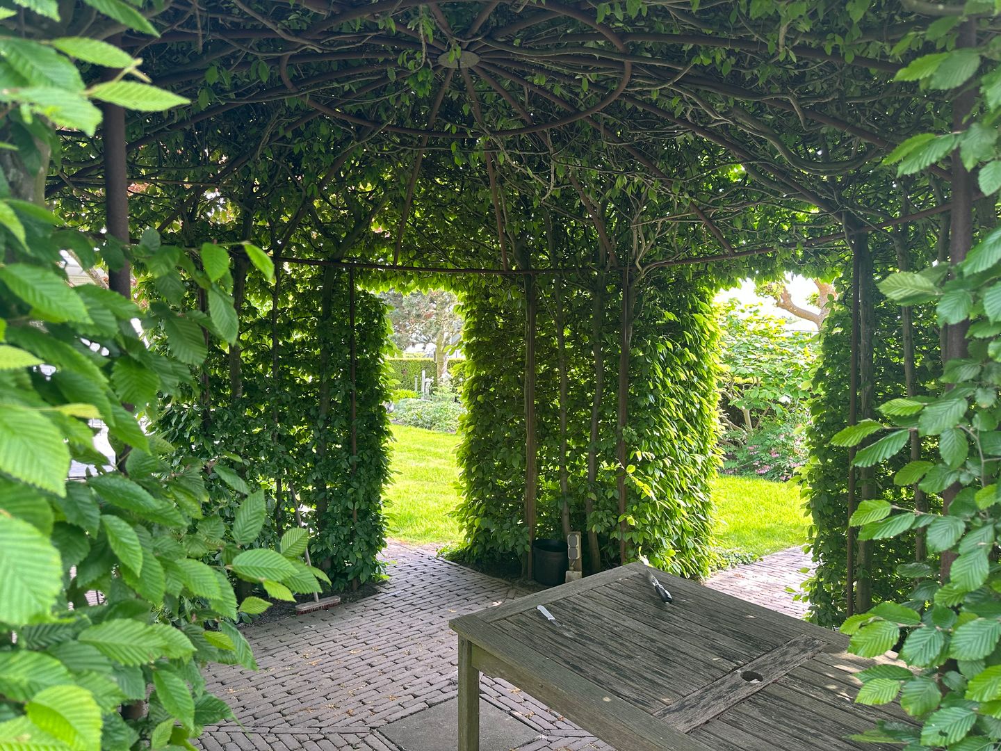 Foto 55 van Halve Raak 85