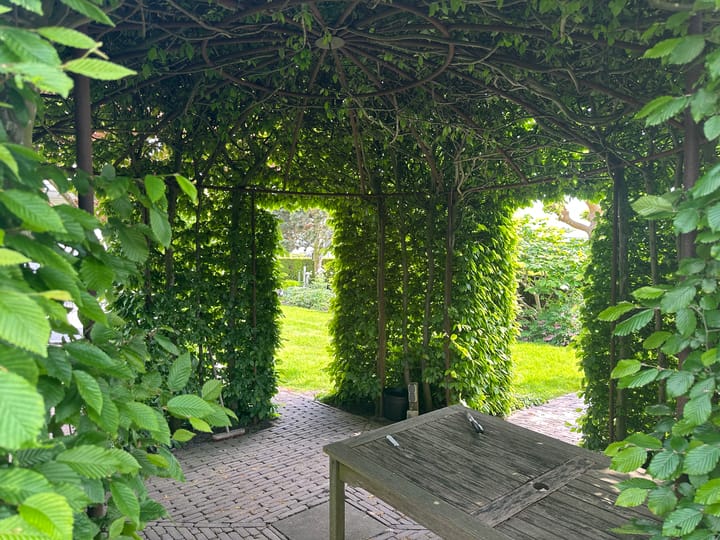 Foto 55 van Halve Raak 85