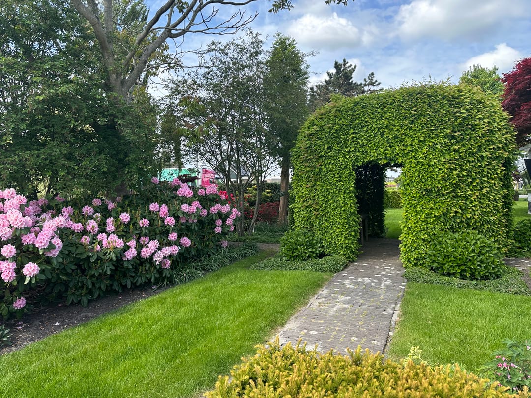 Foto 56 van Halve Raak 85