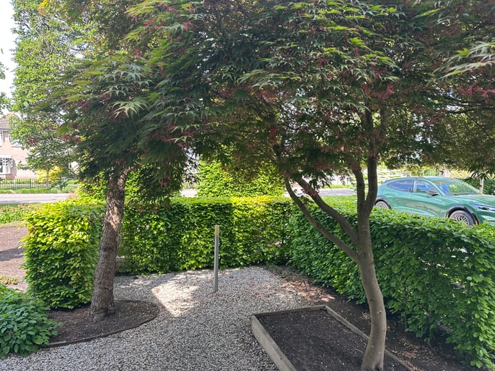 Foto 65 van Halve Raak 85