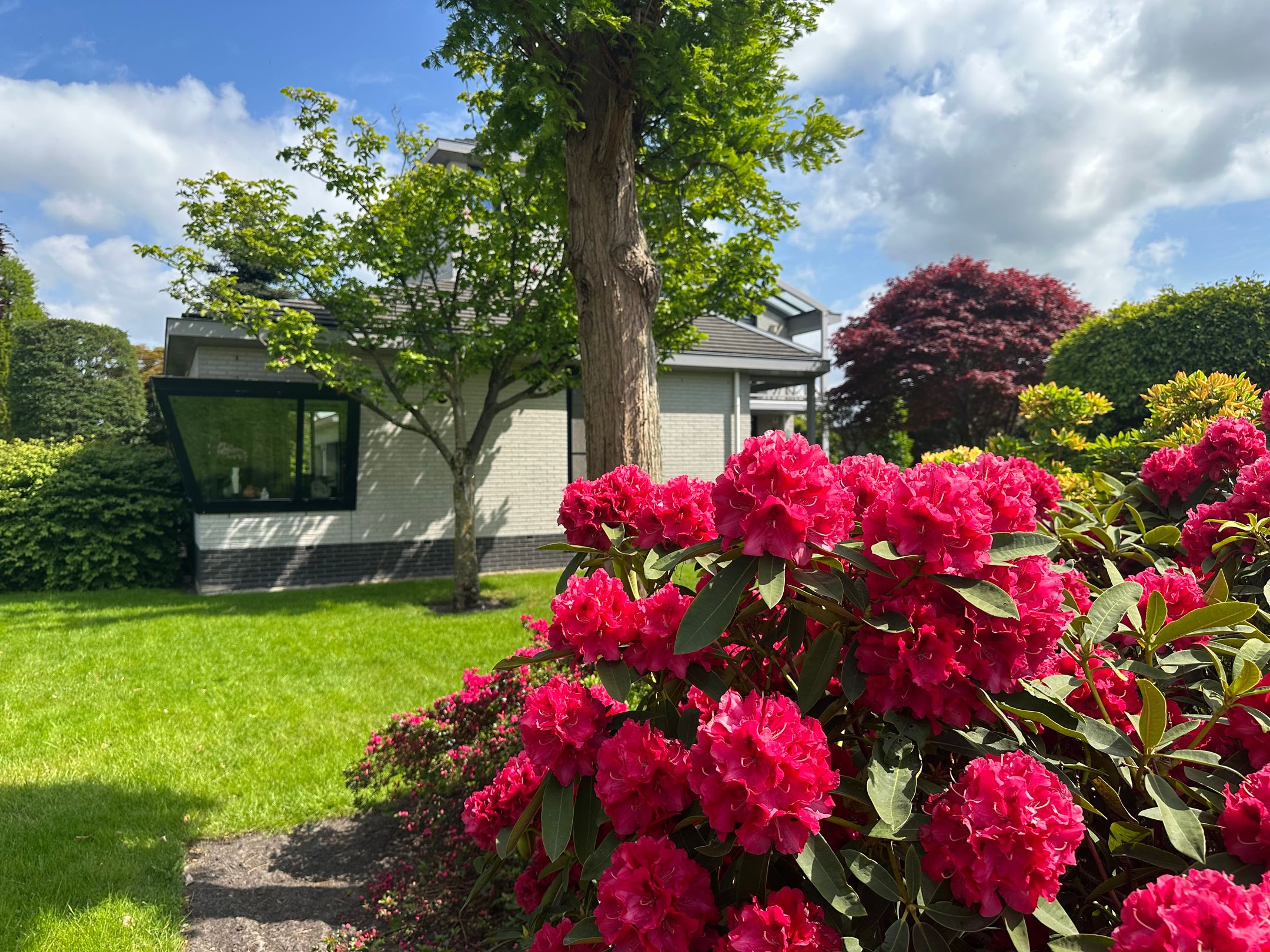 Foto 69 van Halve Raak 85