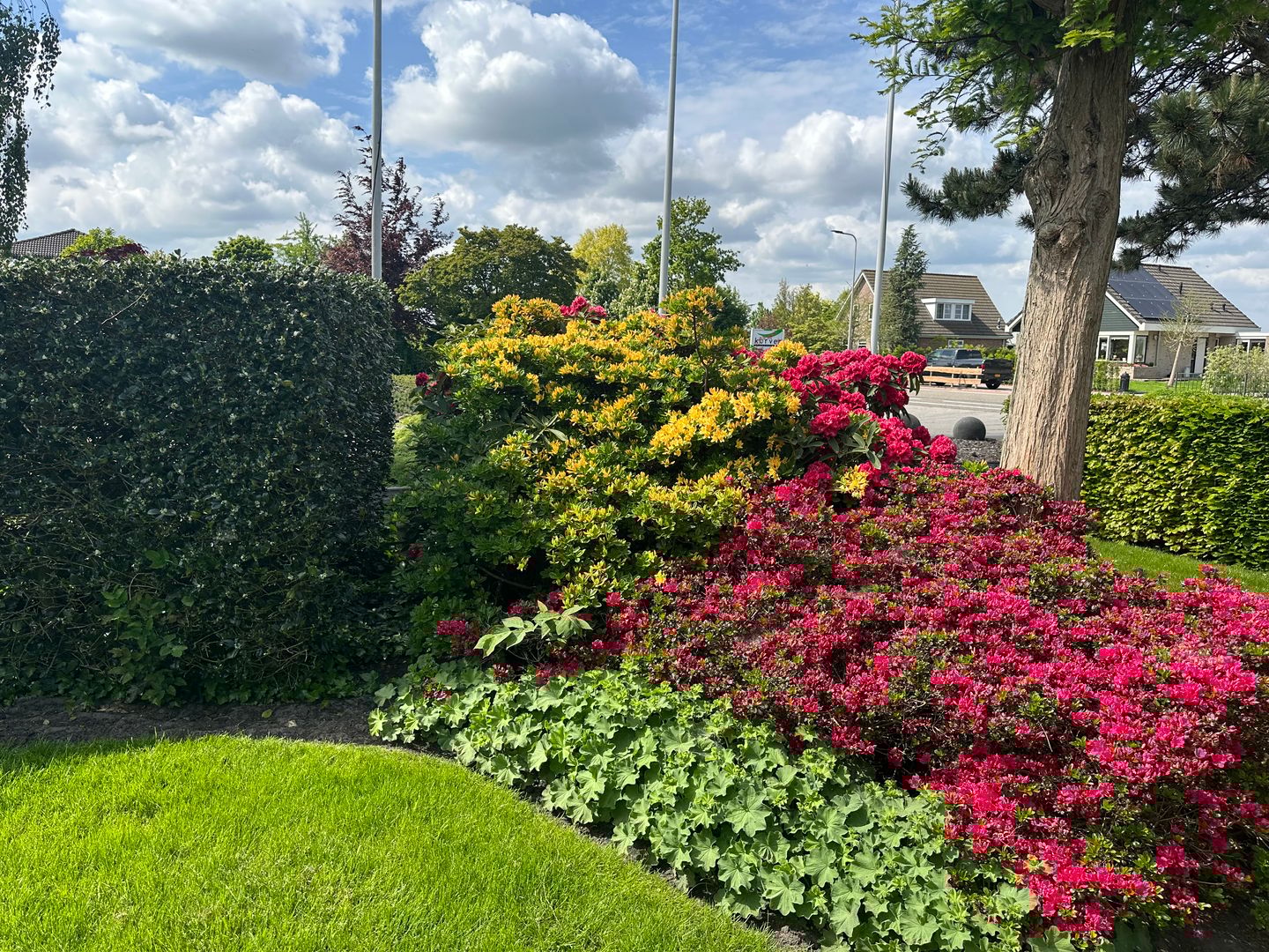 Foto 70 van Halve Raak 85