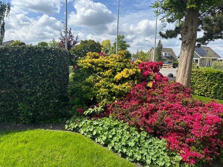 Foto 70 van Halve Raak 85